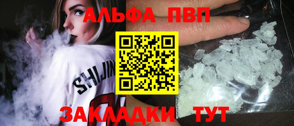 Alfa_PVP СК Сокол