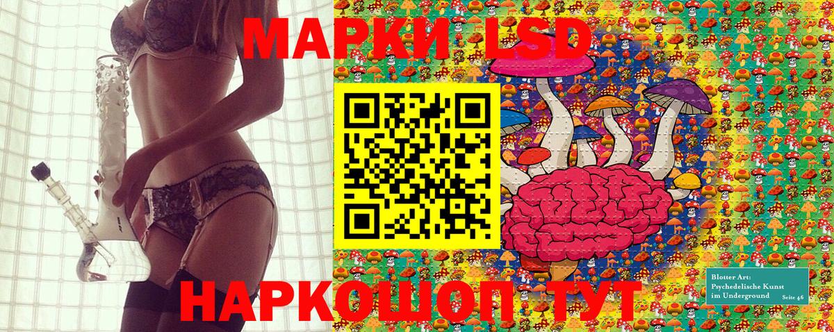 ГАШИШ Сокол
